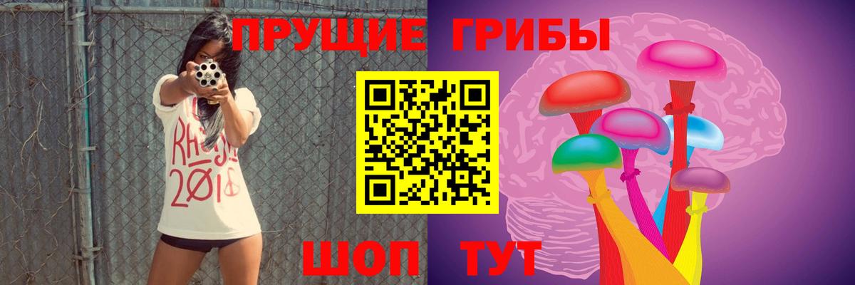Семилуки  Галлюциногенные грибы MAGIC MUSHROOMS  Вход с VPN 
