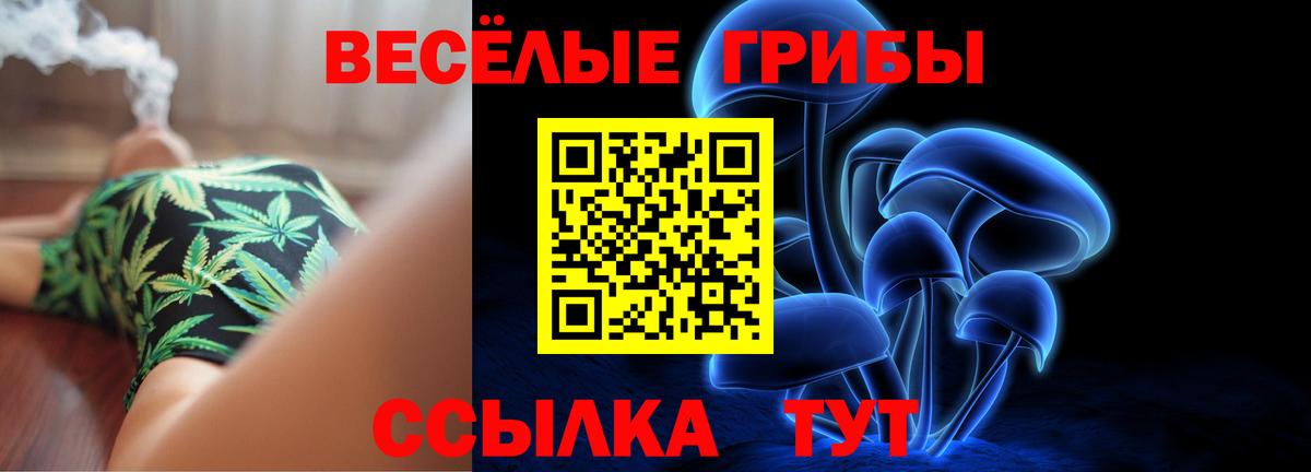 Галлюциногенные грибы Psilocybe Семилуки